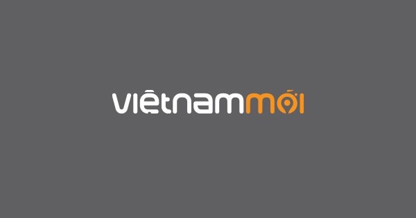 Báo Vietnammoi.vn